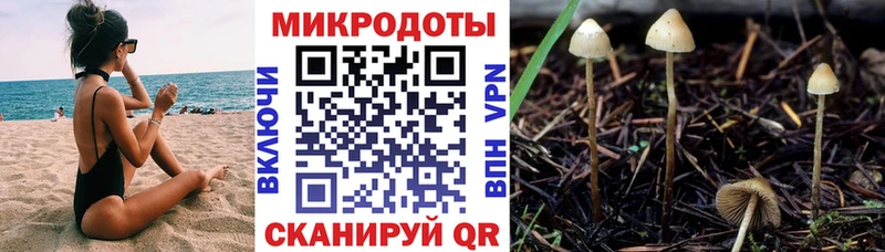 Псилоцибиновые грибы прущие грибы  Купить где  Белокуриха 